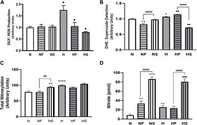 Nitric oxide augments signaling for contraction in hypoxic pulmonary arterial smooth muscle—Implications for hypoxic pulmonary hypertension